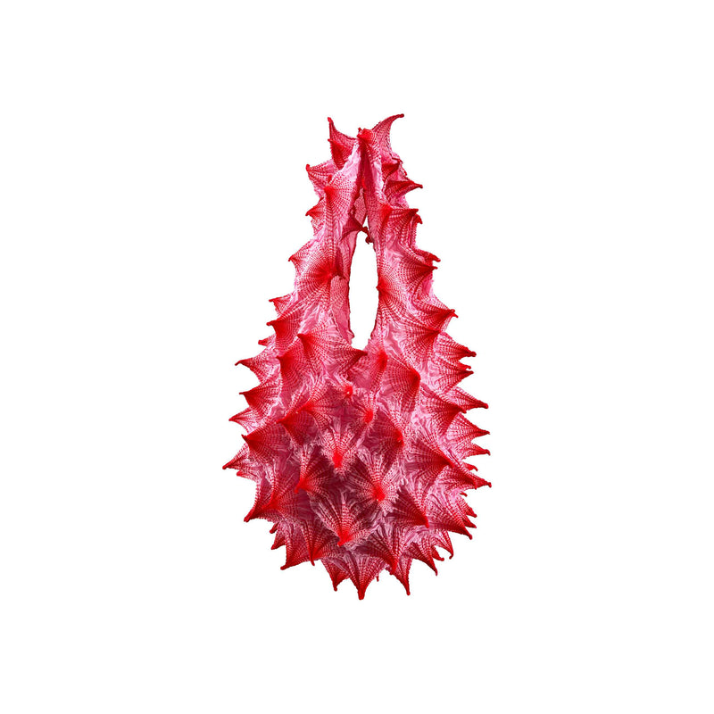 Fugu Maxi - Cherry