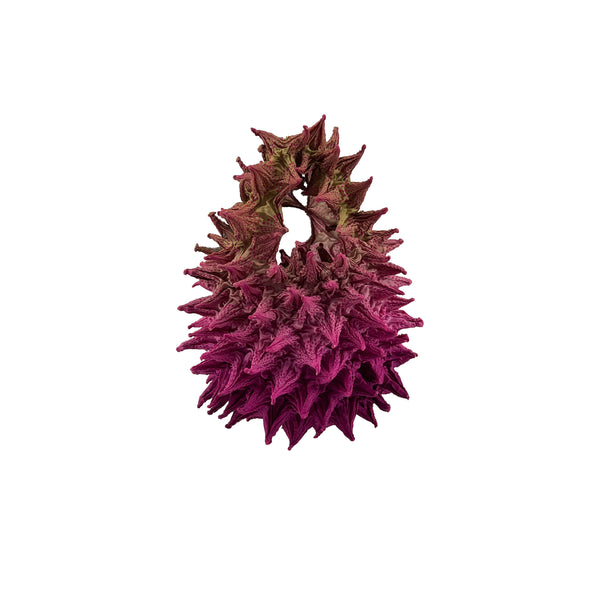Fugu Mini - Raspberry Jam