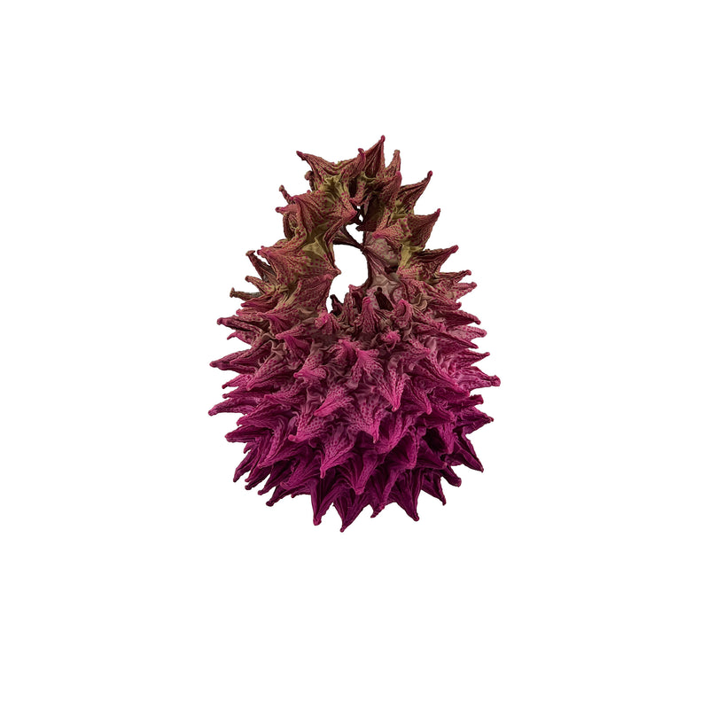 Fugu Mini - Raspberry Jam
