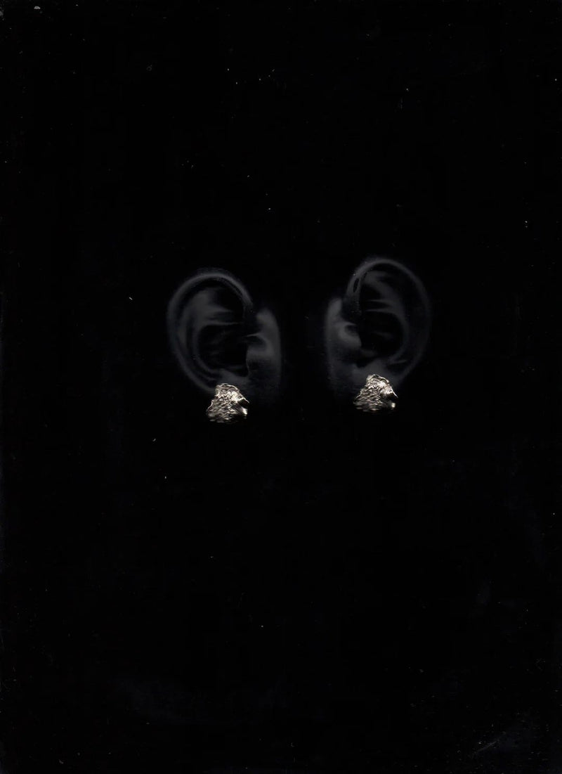 Sinar Earrings Silver