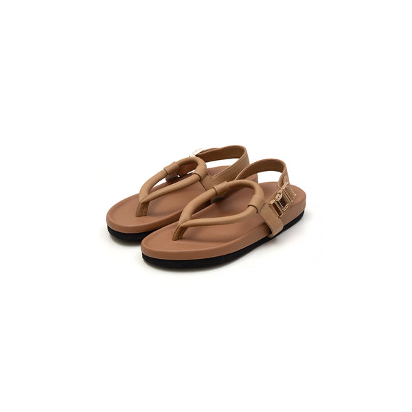 Kazu Camel