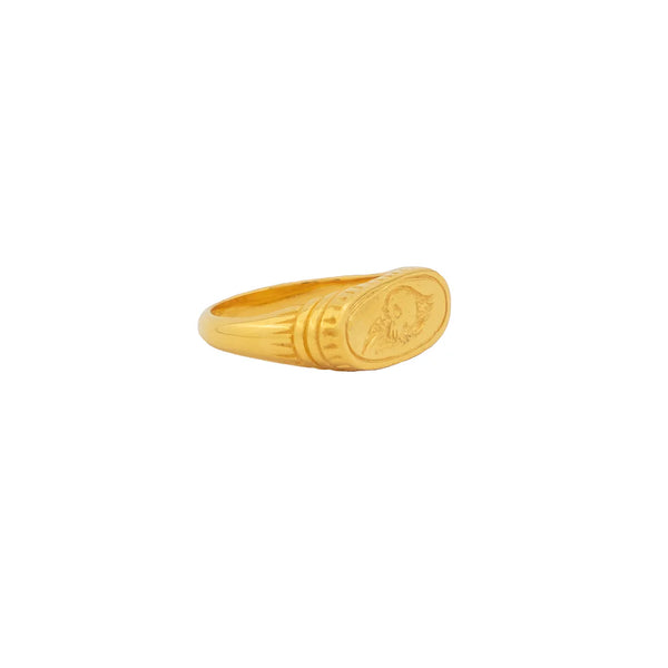 Raven Ring GPS