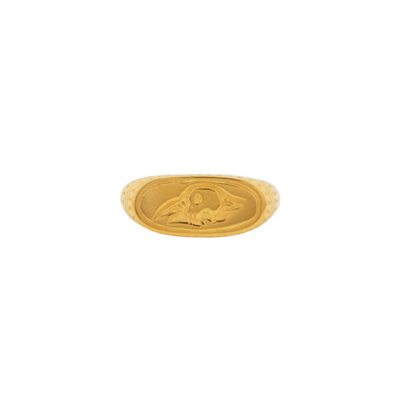 Raven Ring GPS